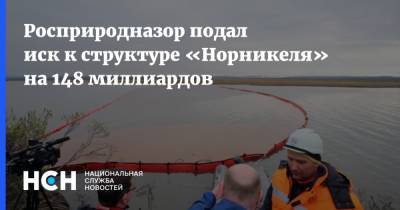 Росприродназор подал иск к структуре «Норникеля» на 148 миллиардов - nsn.fm - Красноярский край