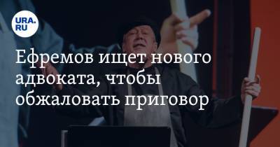 Михаил Ефремов - Эльман Пашаев - Ефремов ищет нового адвоката, чтобы обжаловать приговор - ura.news - Россия