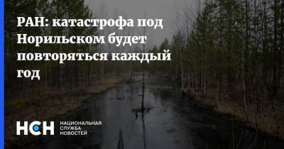 РАН: катастрофа под Норильском будет повторяться каждый год - nsn.fm - Красноярский край - Норильск