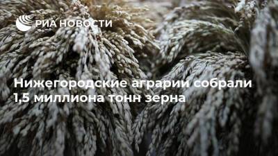 Глеб Никитин - Нижегородские аграрии собрали 1,5 миллиона тонн зерна - smartmoney.one - Нижегородская обл.