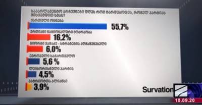 Георгий Вашадзе - Рейтинг Survation: «Грузинская мечта» лидирует в предвыборном опросе - newsgeorgia.ge - Грузия