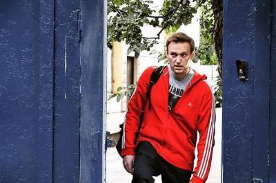 Алексей Навальный - Антон Орехъ - «Навальному лучше не возвращаться» — мнение - infox.ru - Россия