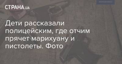 Дети рассказали полицейским, где отчим прячет марихуану и пистолеты. Фото - strana.ua - Запорожье