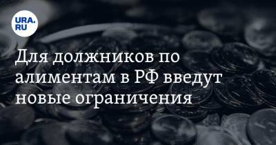 Для должников по алиментам в РФ введут новые ограничения - ura.news - Россия
