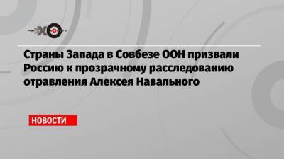 Алексей Навальный - Василий Небензя - Страны Запада в Совбезе ООН призвали Россию к прозрачному расследованию отравления Алексея Навального - echo.msk.ru - Россия - США - Сирия - Германия