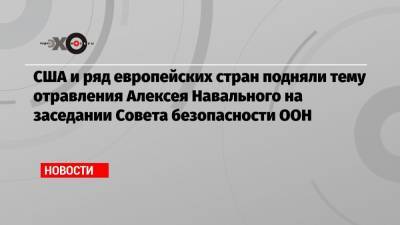 Алексей Навальный - Василий Небензя - Совета Безопасности - США и ряд европейских стран подняли тему отравления Алексея Навального на заседании Совета безопасности ООН - echo.msk.ru - Москва - Россия - США - Сирия - Вашингтон - Англия - Бельгия - Германия - Эстония