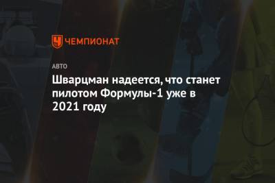 Роберт Шварцман - Шварцман надеется, что станет пилотом Формулы-1 уже в 2021 году - championat.com