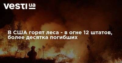 Кейт Браун - В США горят леса - в огне 12 штатов, более десятка погибших - vesti.ua - США - Вашингтон - шт. Калифорния - штат Орегон