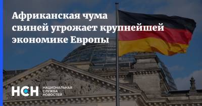 Африканская чума свиней угрожает крупнейшей экономике Европы - nsn.fm - Китай - Германия