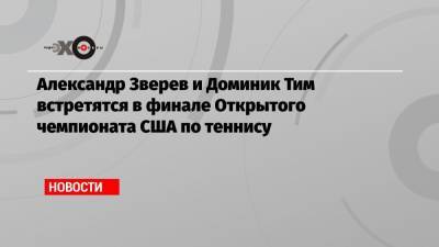 Рафаэль Надаль - Даниил Медведев - Тим Доминик - Александр Зверев - Пабло Карреньо-Буст - Александр Зверев и Доминик Тим встретятся в финале Открытого чемпионата США по теннису - echo.msk.ru - Россия - США - Нью-Йорк