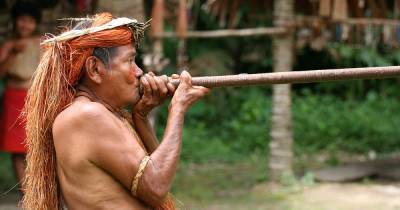 Индейцы убили известного антрополога - popmech.ru - Боливия - Brazil