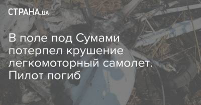 В поле под Сумами потерпел крушение легкомоторный самолет. Пилот погиб - strana.ua - Киев - Ивано-Франковская обл. - Одесса