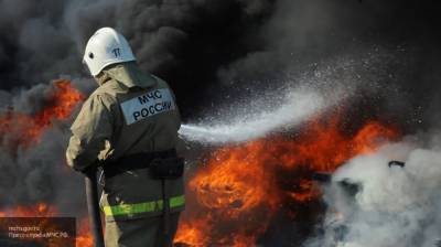 Аглая Чайковская - Брянские спасатели вывели 15 человек из горящего магазина - politros.com - Брянская обл.