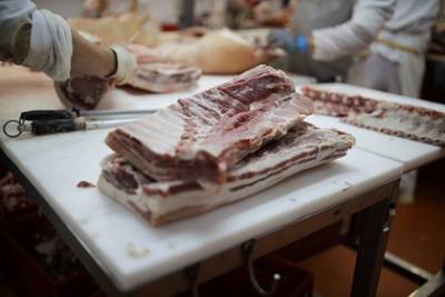 Китай запретил импорт мяса из Германии после выявления африканской чумы свиней - lenta.ru - Китай - Германия - земля Бранденбург