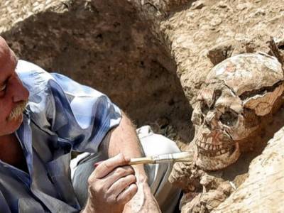 Археологи нашли череп инвалида из древнего города: находке более 2200 лет - golos.ua - Исфахан