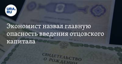 Экономист назвал главную опасность введения отцовского капитала - ura.news