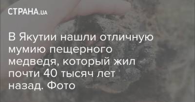 В Якутии нашли отличную мумию пещерного медведя, который жил почти 40 тысяч лет назад. Фото - strana.ua - респ. Саха