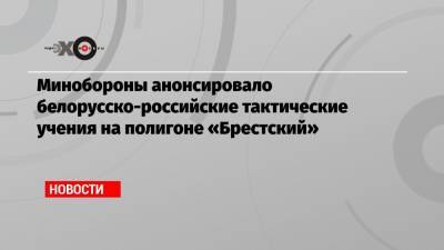Александр Лукашенко - Виктор Хренин - Минобороны анонсировало белорусско-российские тактические учения на полигоне «Брестский» - echo.msk.ru - Белоруссия - Польша - Литва