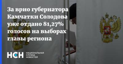 Владимир Солодов - За врио губернатора Камчатки Солодова уже отдано 81,27% голосов на выборах главы региона - nsn.fm - Камчатский край