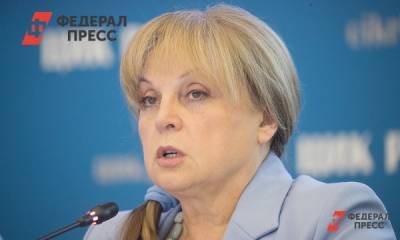 Элла Памфилова - ЦИК назвал число журналистов, работающих в информцентре - fedpress.ru - Москва