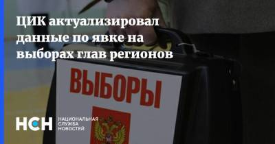 ЦИК актуализировал данные по явке на выборах глав регионов - nsn.fm - Россия - Ленинградская обл. - Краснодарский край - респ. Татарстан - респ. Чувашия - Еврейская обл. - Тамбовская обл. - Пензенская обл. - Брянская обл.