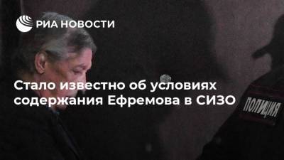 Михаил Ефремов - Марина Литвинович - Стало известно об условиях содержания Ефремова в СИЗО - ria.ru - Москва