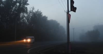 В Подмосковье 13-летний подросток сел за руль автомобиля и попал в аварию - moslenta.ru - Москва - Московская обл.