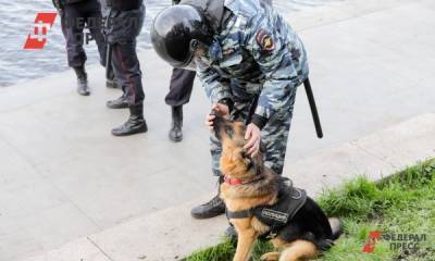 Три избирательных участка в Новосибирске пытались взорвать - fedpress.ru - Новосибирск