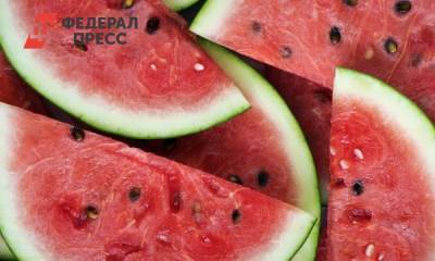 Стало известно, сколько можно съесть арбуза без вреда для здоровья - fedpress.ru - Москва - Волгоград