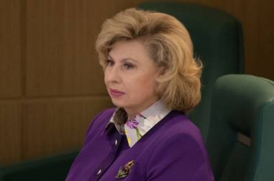 Татьяна Москалькова - Омбудсмен положительно оценила новые формы проведения голосования - pnp.ru - Россия - Казань