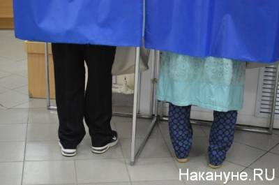 В Челябинской области снизилась явка по сравнению с кампанией пятилетней давности - nakanune.ru - Челябинская обл.