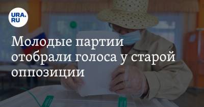 Екатерина Сычкова - Проекту Кремля удалось завоевать доверие избирателей - ura.news - Россия - Новосибирская обл.