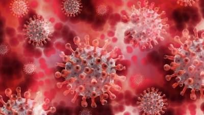 ВОЗ рапортует о рекордном росте коронавируса по всему виру - 5-tv.ru - Израиль - Индия - Испания