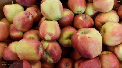 Михаил Гинзбург - Nation News - Диетолог рассказал, сколько яблок нужно есть в день для пользы организму - nation-news.ru - Китай