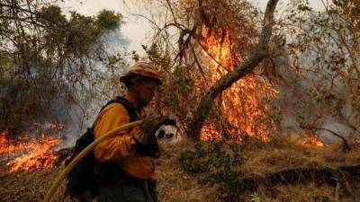 Огонь калифорнийских пожаров перекинулся во всемирную сеть: Кого назначили поджигателем? - 5-tv.ru - США