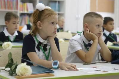 На учебу в дистанционном режиме перешли 3,5 тысячи школьников Ставрополья - etokavkaz.ru - Ставрополье