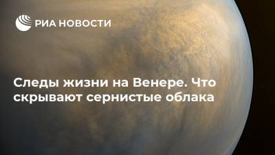 Следы жизни на Венере. Что скрывают сернистые облака - ria.ru - Москва