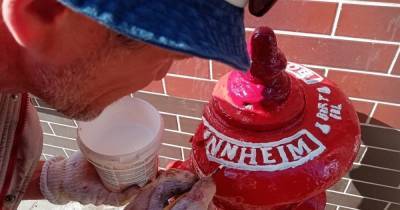 В Калининграде супружеская пара раскрашивает старинные пожарные гидранты и даёт им имена (фото) - klops.ru - Калининград