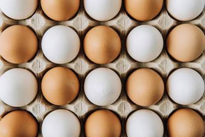 Коричневые яйца лучше белых: так ли это на самом деле - skuke.net