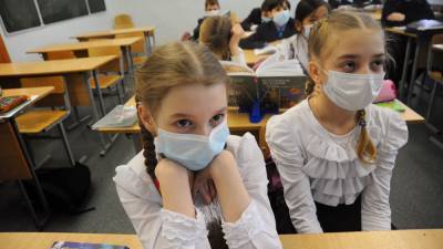 Айбулат Хажин - В Башкирии у 67 учеников и педагогов нашли коронавирус - news102.ru - Башкирия