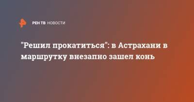 "Решил прокатиться": в Астрахани в маршрутку внезапно зашел конь - ren.tv - Астрахань