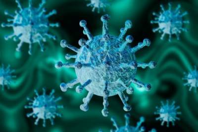 Американские ученые обнаружили белок, нейтрализующий коронавирус - vkcyprus.com