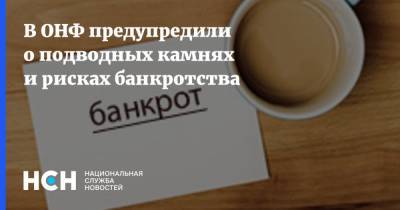 Евгений Лазарев - В ОНФ предупредили о подводных камнях и рисках банкротства - nsn.fm - Россия