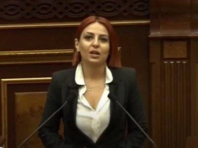 Депутат от партии «Светлая Армения» потребовала у ведущего Общественного телевидения Армении извинений - news.am - Армения