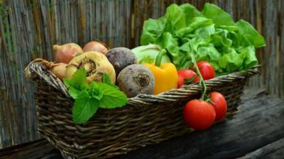 Домашний огород: названы овощи, которые можно вырастить на балконе - inforeactor.ru