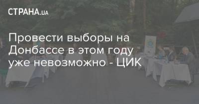 Олег Диденко - Провести выборы на Донбассе в этом году уже невозможно - ЦИК - strana.ua - Украина