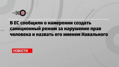 Алексей Навальный - Жозеп Боррель - Владимир Джабаров - В ЕС сообщили о намерении создать санкционный режим за нарушение прав человека и назвать его именем Навального - echo.msk.ru - Россия