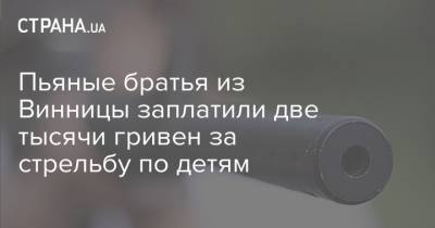 Пьяные братья из Винницы заплатили две тысячи гривен за стрельбу по детям - strana.ua