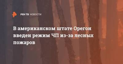 Дональд Трамп - В американском штате Орегон введен режим ЧП из-за лесных пожаров - ren.tv - Вашингтон - Канада - USA - штат Орегон