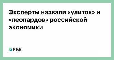 Эксперты назвали «улиток» и «леопардов» российской экономики - smartmoney.one - Россия
